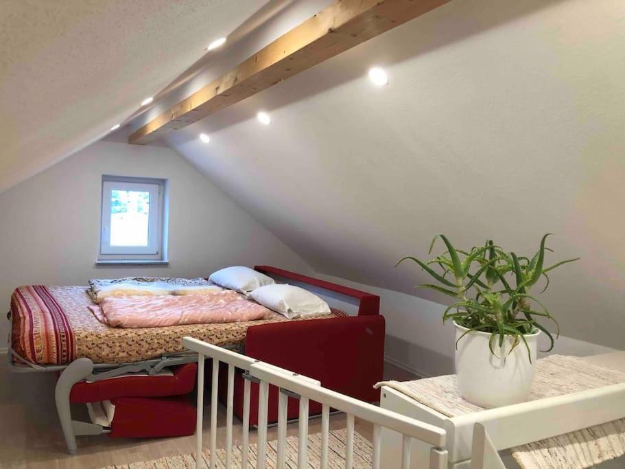 Apartment 3 Neubauwohnung In Der Schwaebischen Toskana Loewenstein
